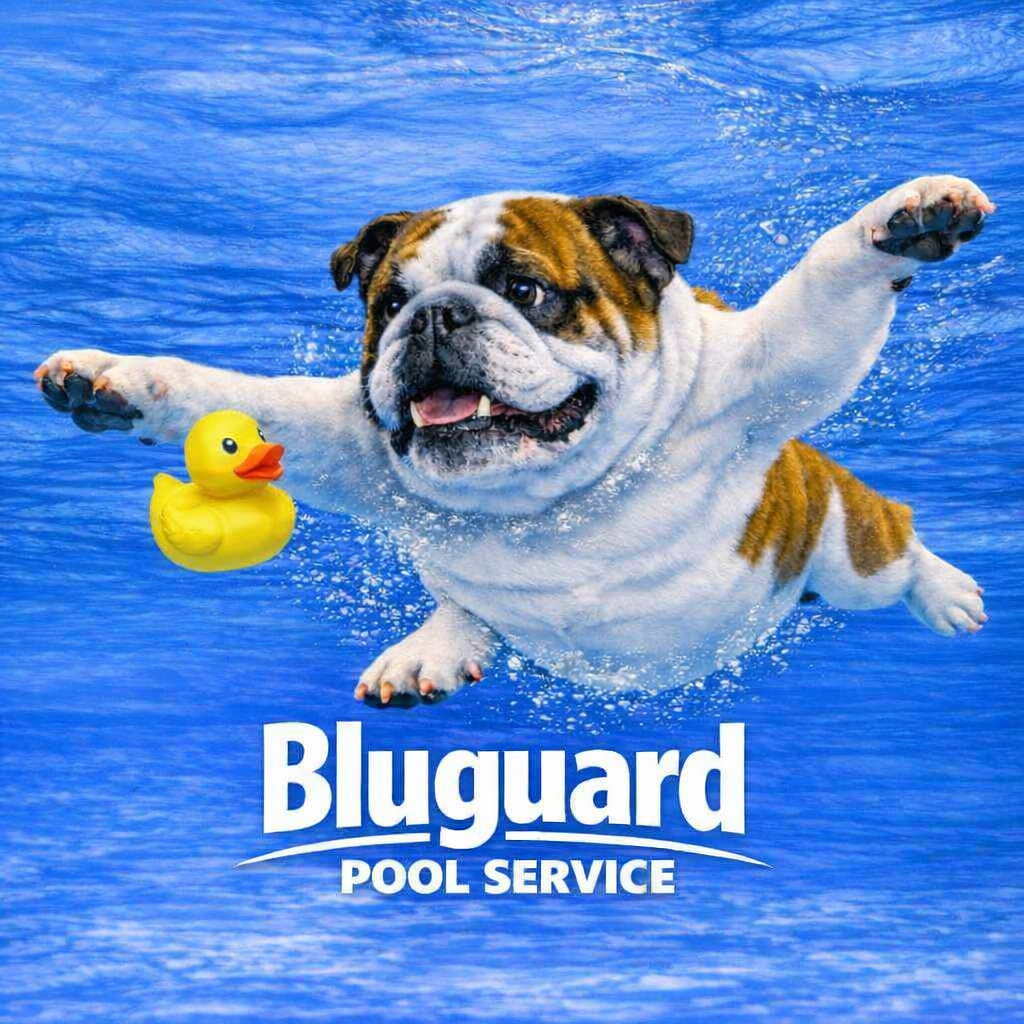 Bluguard Pool Service mascot — bulldog swimming with a rubber duck